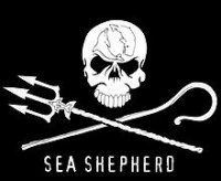 Sea Shepherd.jpg